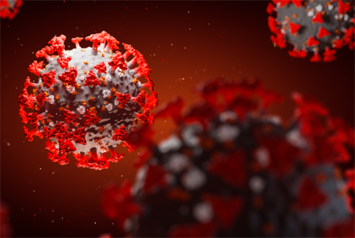New £4m study to advance understanding of severe coronavirus infection